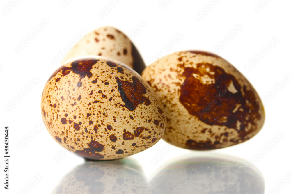 three quail eggs isilated on white three quail eggs isilated on white