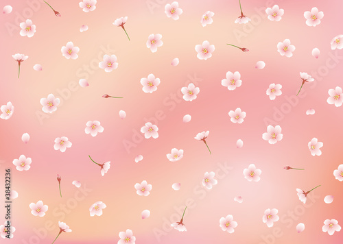 サクラ背景ピンク