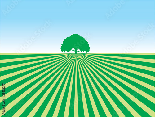 Ekologiczny pejzaż uprawa naturalna