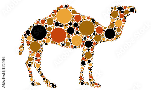 camel