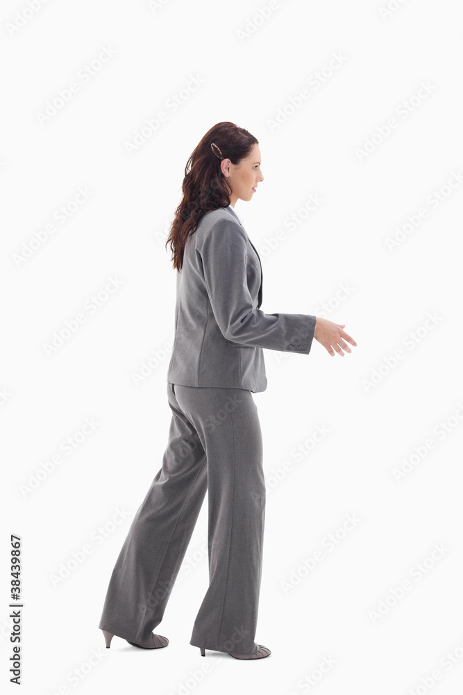 Businesswoman shaking a hand Businesswoman shaking a hand