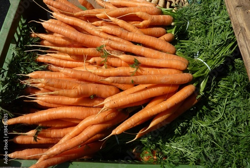 Fresh carrots at the greengrocer