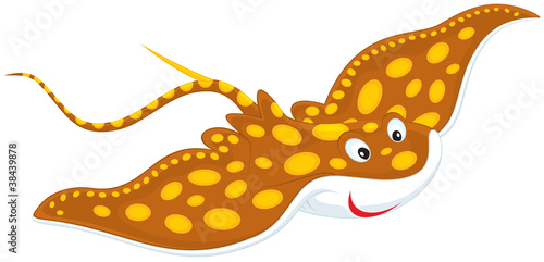 Ray