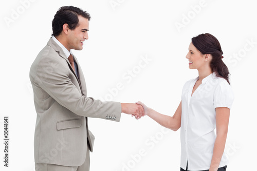 Side view of salespeople shaking hands