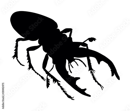 Vector silhouette of rhinoceros beetle