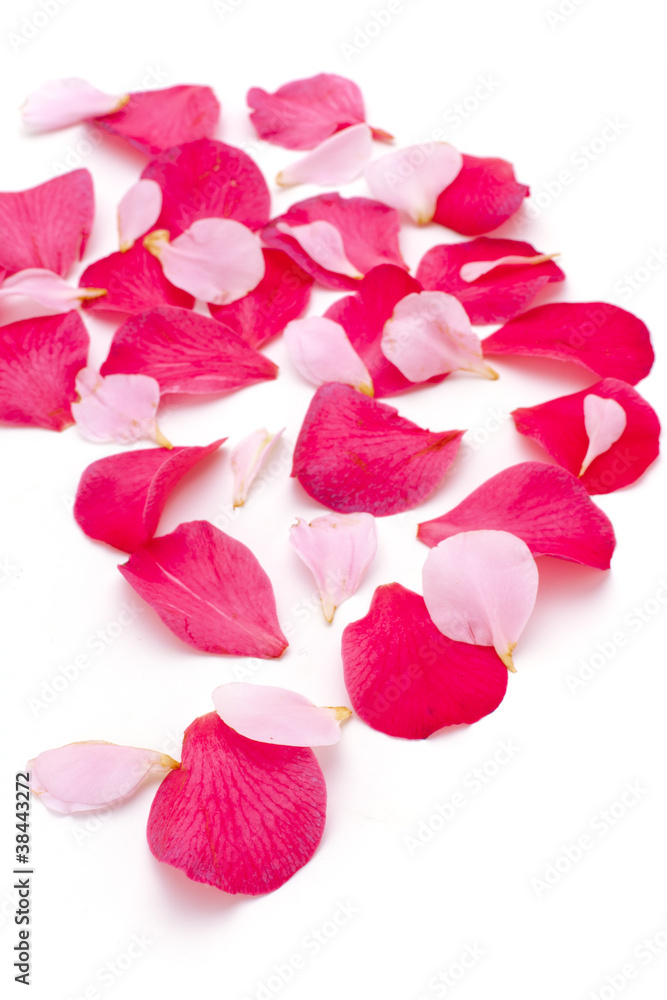 Rose petals Rose petals