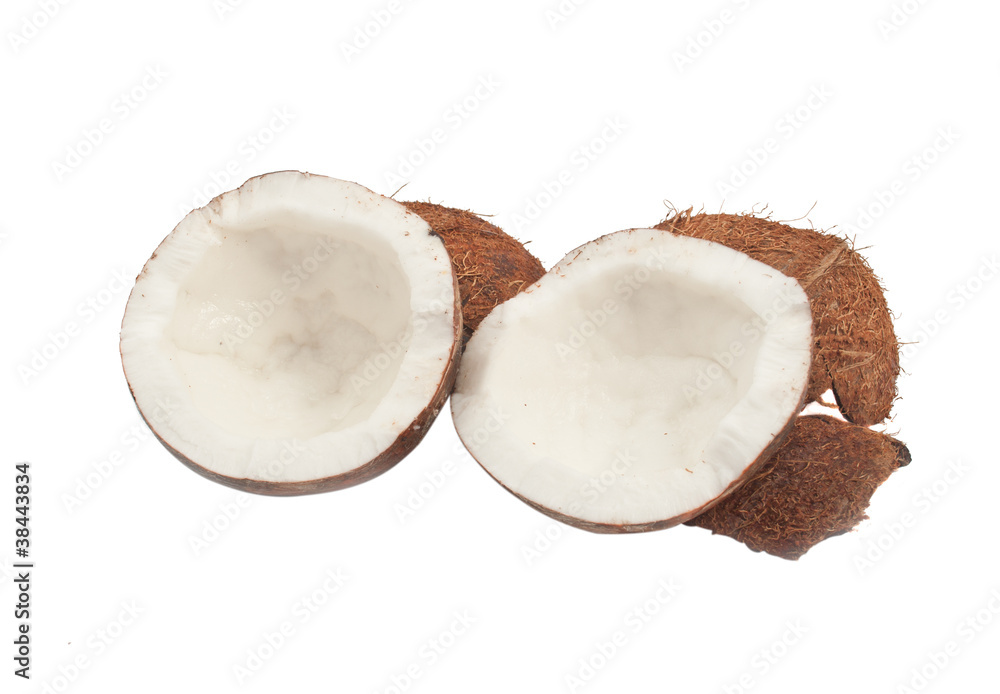 coconut isolated coconut isolated