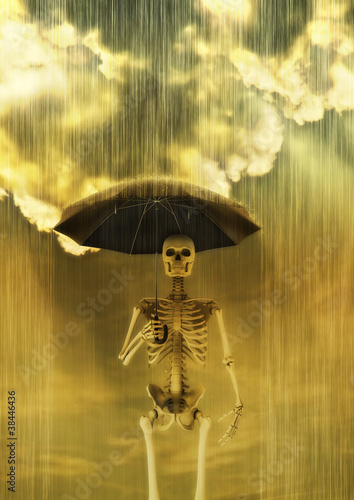 Fotografía Acid rain