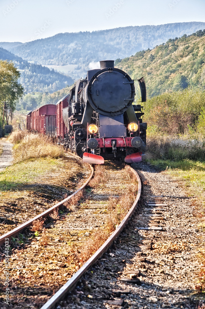 Obraz premium Stary pociąg przechodzący przez dolinę