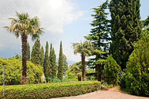 tropical garden