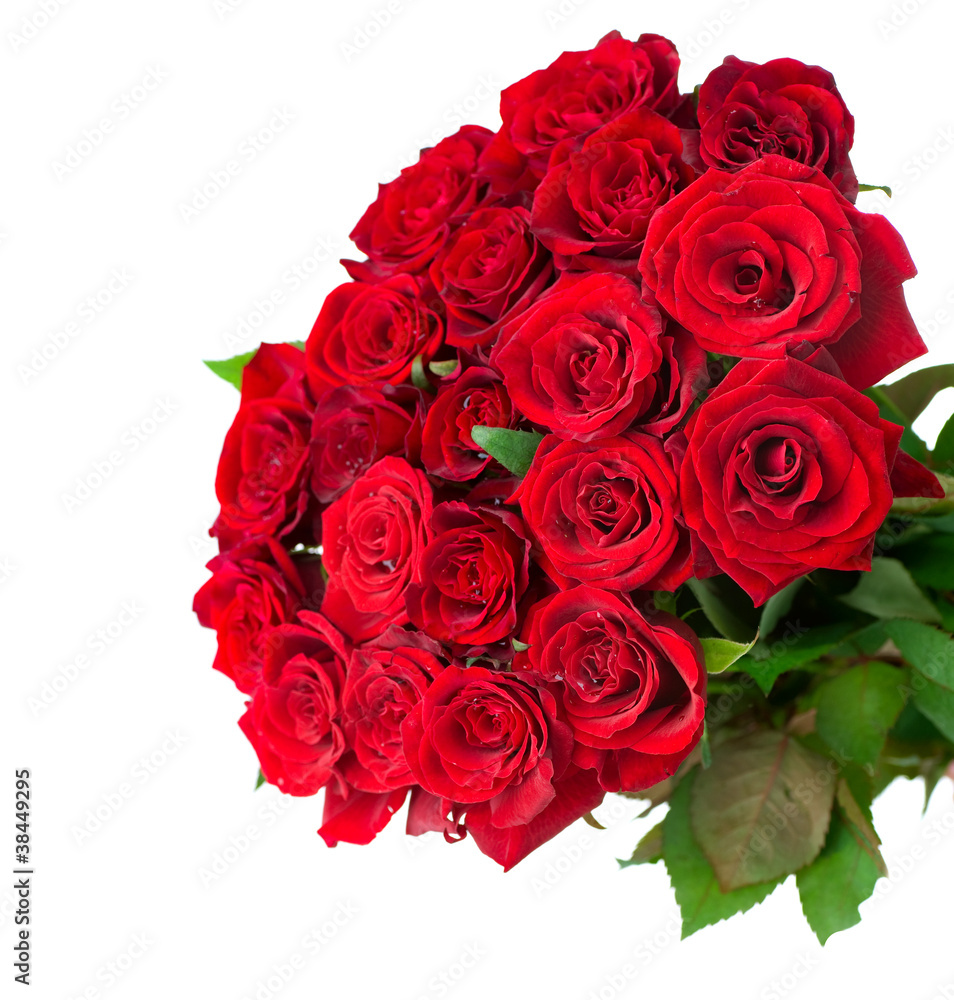 Rose Flowers Bouquet Over White Rose Flowers Bouquet Over White