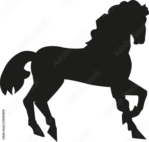 silhouette of a horse