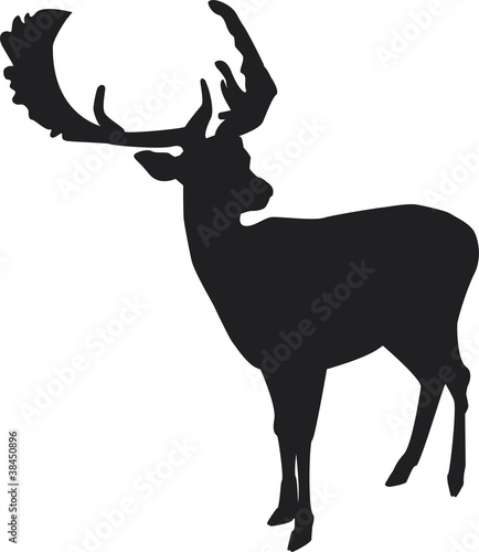 vector silhouette of a deer