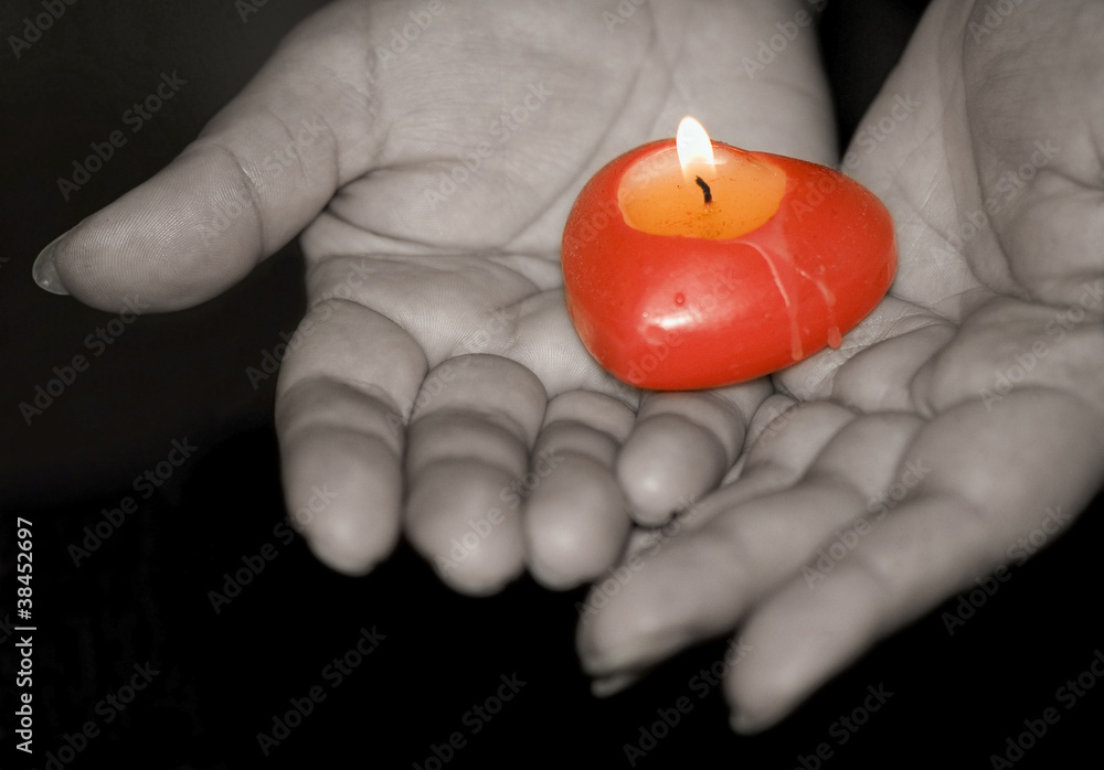 give the heart give the heart