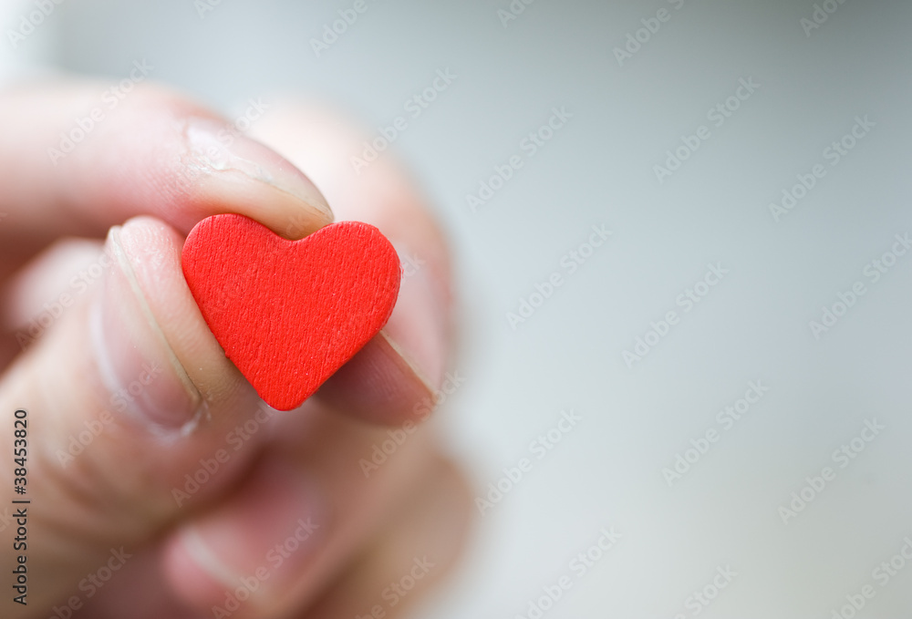 heart in the hands heart in the hands