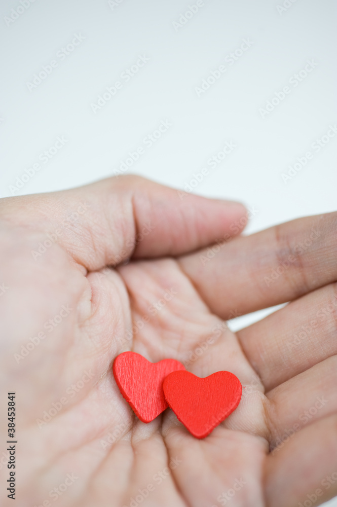 heart in the hands heart in the hands
