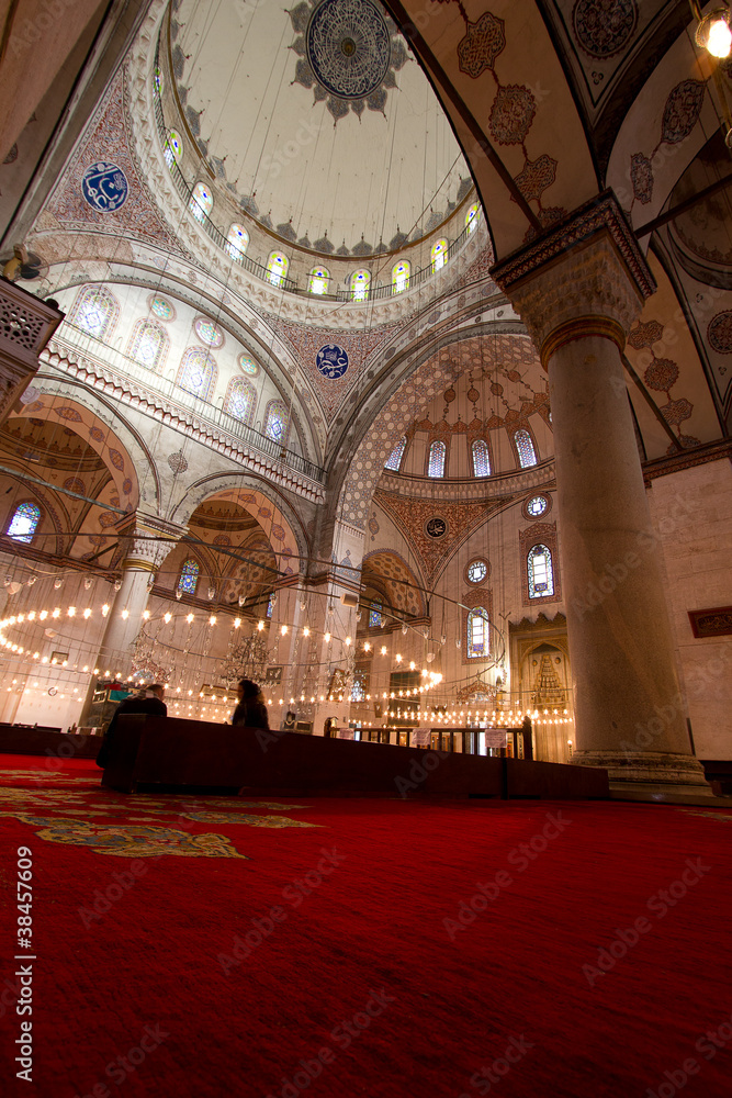 Inside Istanbul Mosque showing massive columns in vertical posit