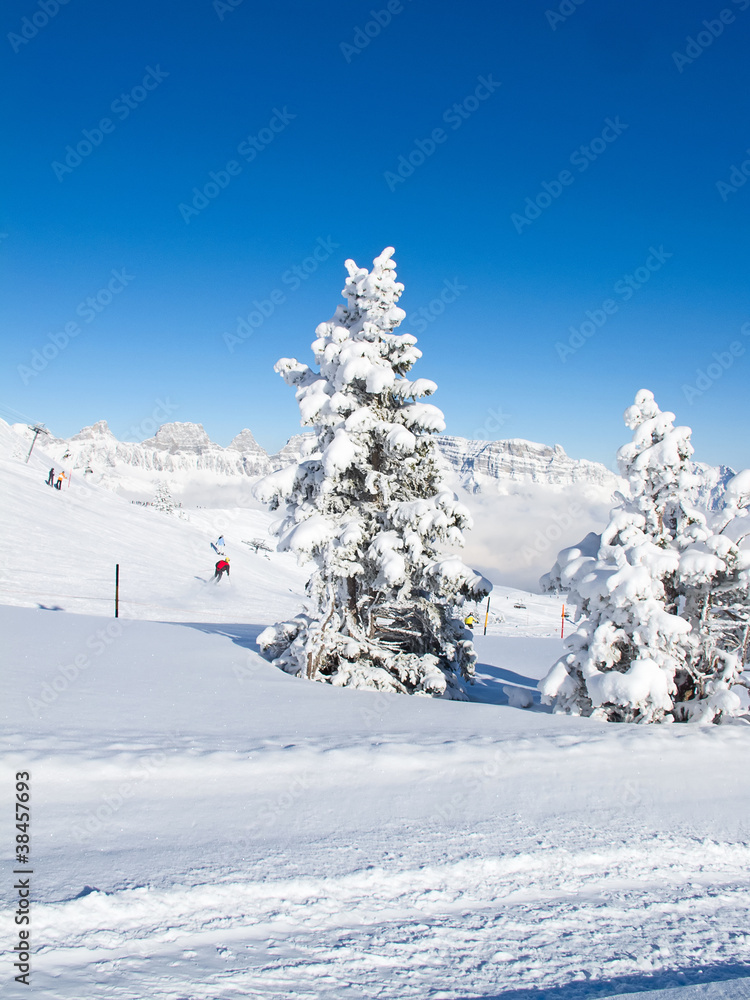 Obraz premium Winter in alps