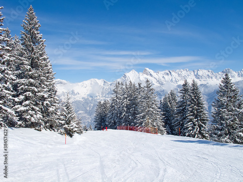 Winter in alps © swisshippo