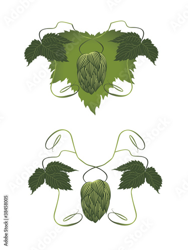 hops plant