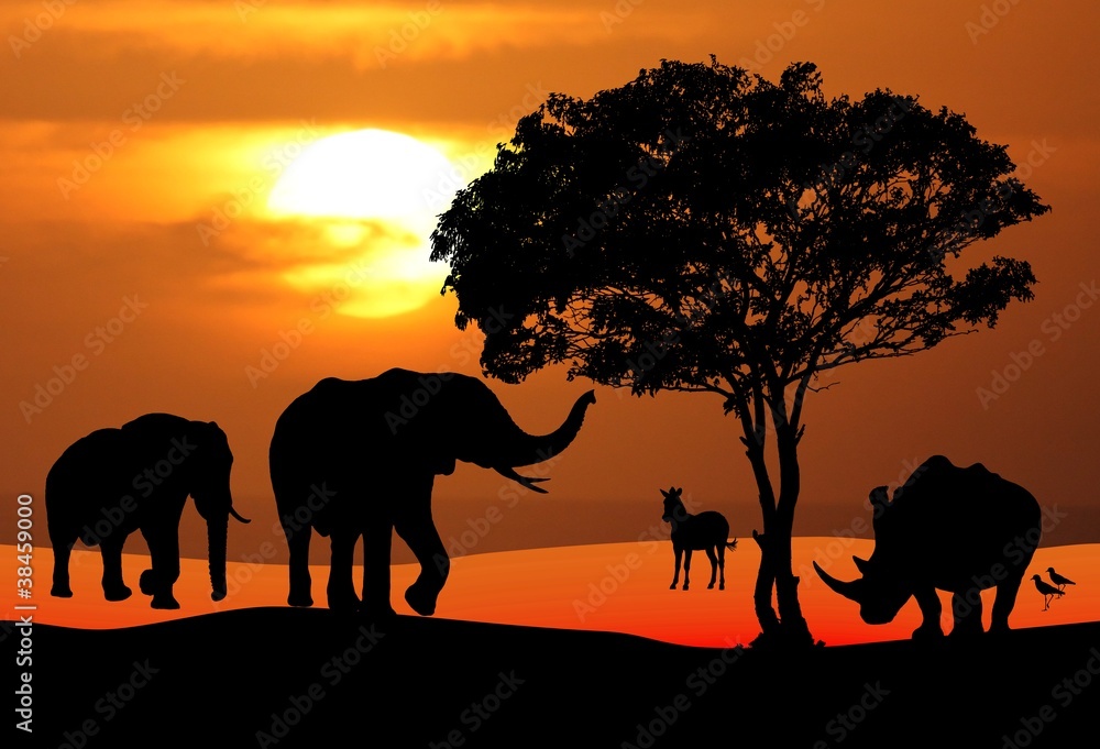 Fototapeta premium African Wildlife Sunset Scene