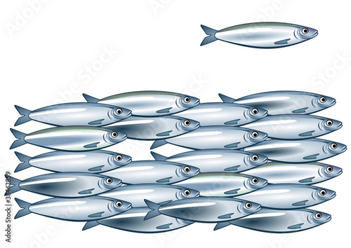 Sardinen
