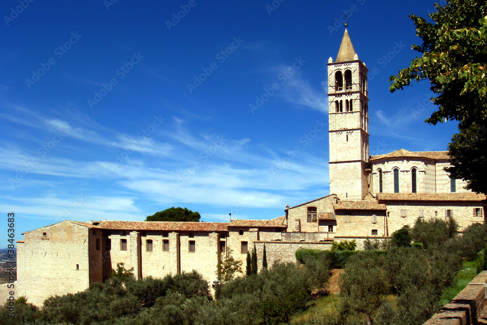 Fototapeta premium assisi