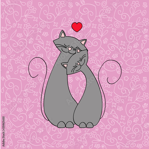 love cats