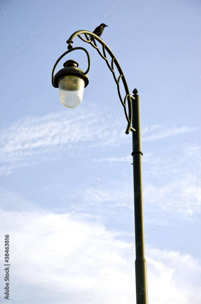 Glass lamp metal decor pole park lighting crow Glass lamp metal decor pole park lighting crow