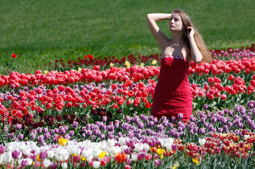 young attractive woman in tulip filed
