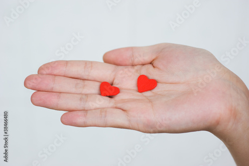 heart in the hands