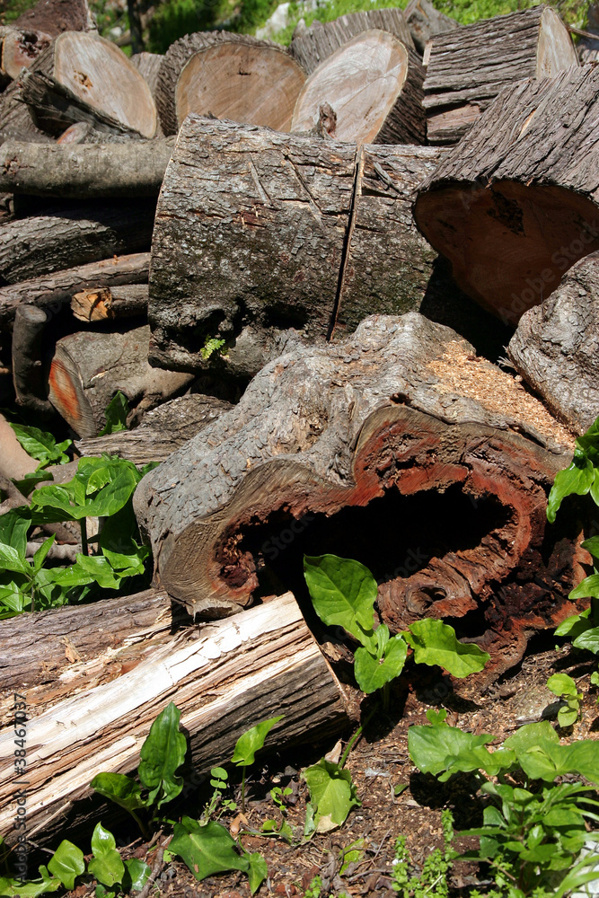 custom made wallpaper toronto digitallegname