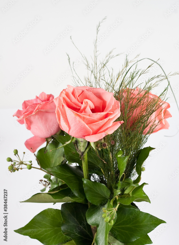Fototapeta premium roses