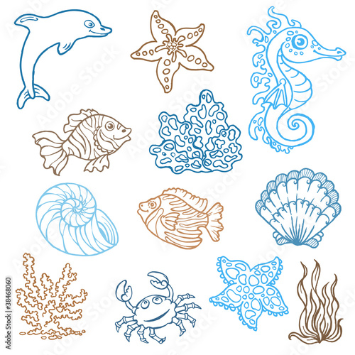 Marine life doodles - Hand drawn collection in vector