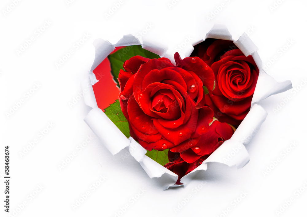 Art bouquet of red roses and the paper hearts on Valentine's Day - obrazy, fototapety, plakaty 