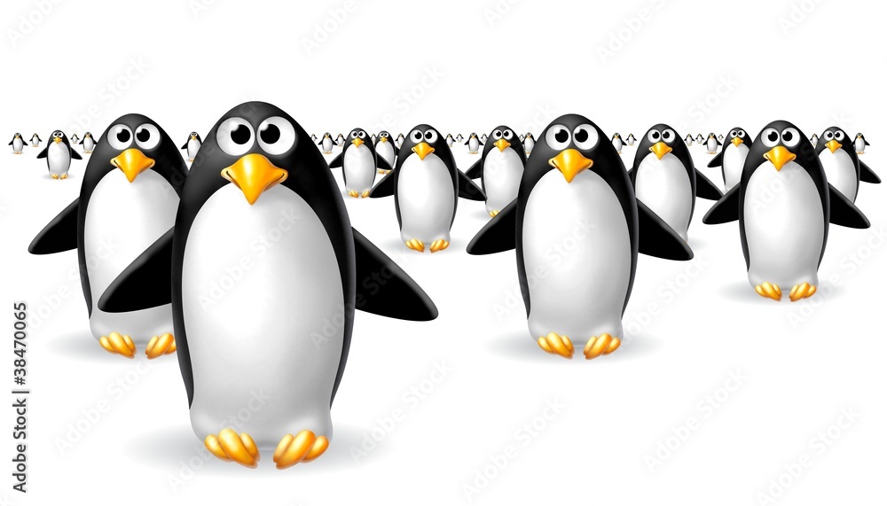 mare di pinguini - obrazy, fototapety, plakaty 