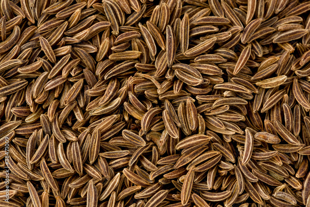 Caraway Seeds (carum carvi)