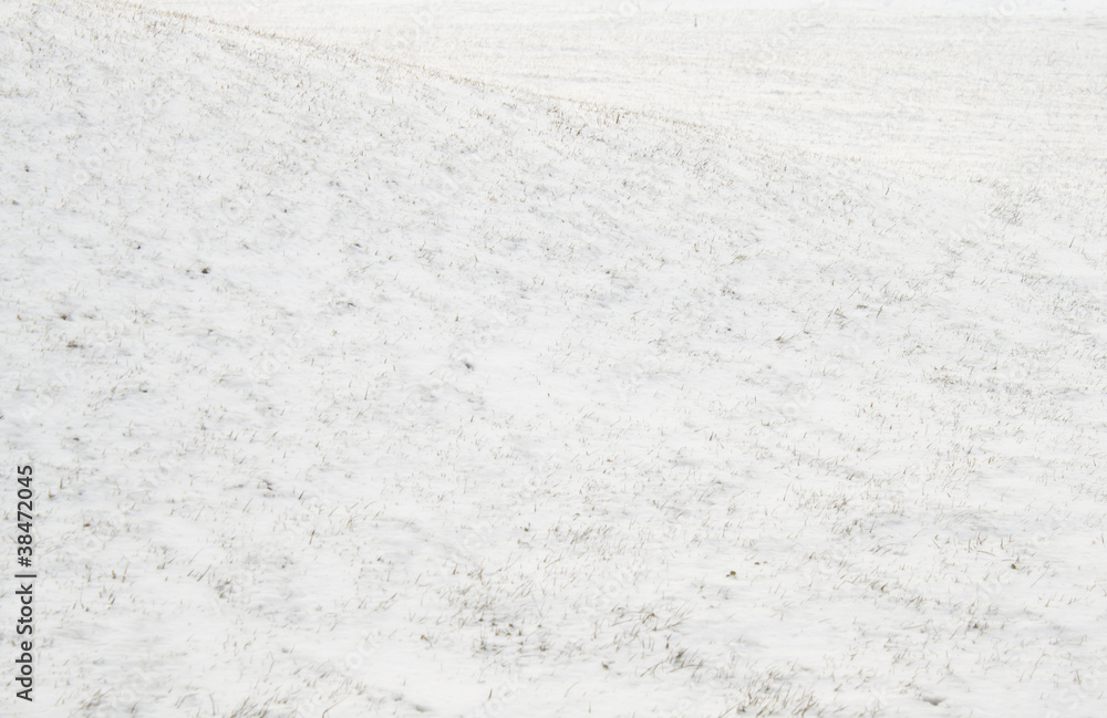 Naklejka premium Snowy slope with grass