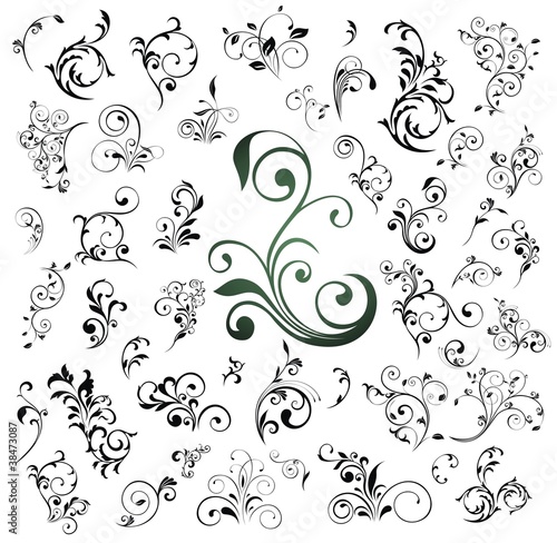 Big set of floral elements