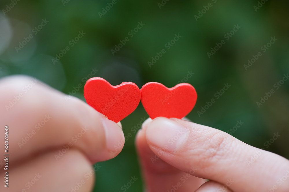 heart in the hands heart in the hands
