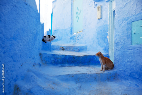 Moroccan city © Galyna Andrushko