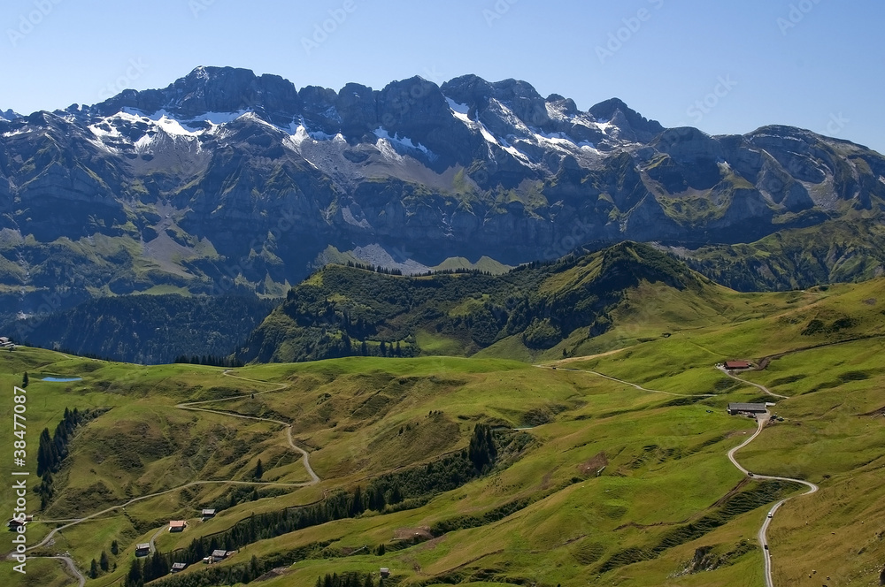 Fototapeta premium alpine meadows