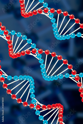 DNA structure