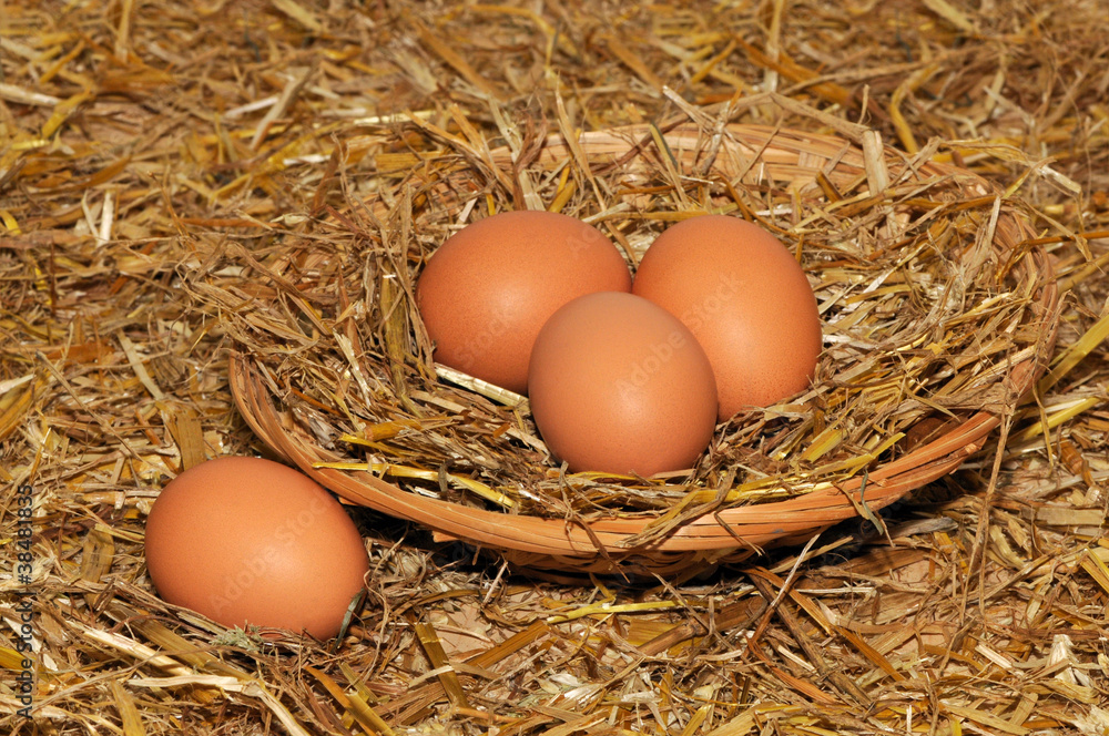 Eier im Stroh Eier im Stroh