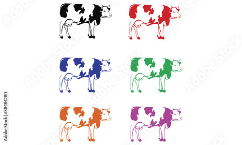 Colourful Cows