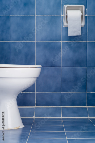 White ceramic sanitary ware in Blue bathroom