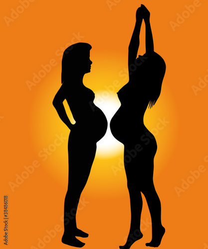 The Silhouette of the pregnant woman.