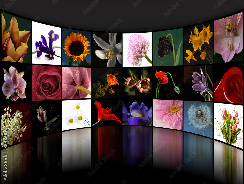 Kolekcja zdjęć kwiatów - kolaż - obrazy, fototapety, plakaty 