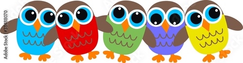 owl header