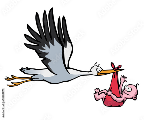 Flying stork with baby